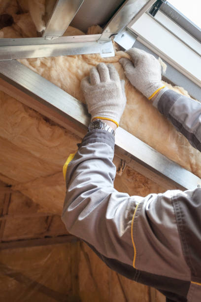 Best Commercial Insulation in Pis, AR