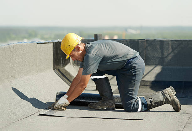 Best Specialized Insulation Services in Pis, AR